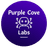 Purple Cove Labs